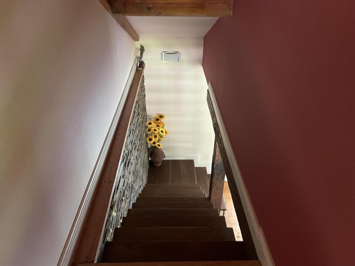 O Celeiros Villa Freixo  Exteriör bild